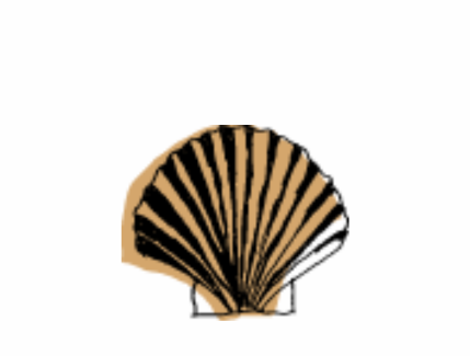 Conservas de marisco